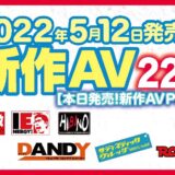 【5/13発売！新作AV チェック！！Part2】ナチュラルハイ／アイエナジー／ヒビノ／DANDY／サディスティックヴィレッジ【22タイトル】